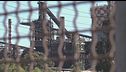 Non bastano riduzione della cig e corsi, rottura sull'ex Ilva