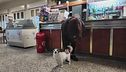 La storia di Giorgio, il cane che ogni mattina aspetta il suo padrone al bar