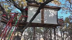 Famiglia nel bosco, ore decisive, il nodo scolarizzazione