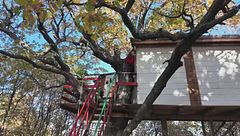 Dalla casa nel bosco a quella sull'albero, a Palmoli una coppia vive sui rami