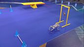 Duke Huang il cane robot Go2