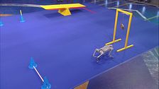 Duke Huang il cane robot Go2