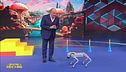 "Lo Show dei Record" story: animali da record