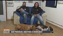 Cani pericolosi: abbatterli o rieducarli?