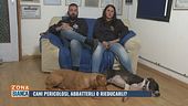 Cani pericolosi: abbatterli o rieducarli?
