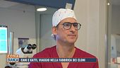 Cani e gatti, viaggio nella fabbrica dei cloni