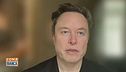 Dazi: le speranze di Elon Musk