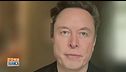 Elon Musk: "Vedremo uccisioni di massa in Europa"