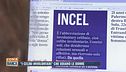 "I celibi involontari" che odiano le donne