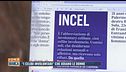 "I celibi involontari" che odiano le donne
