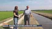 Garlasco, il giallo degli attrezzi nel canale