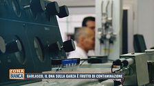 Garlasco, il dna sulla garza è frutto di contaminazione