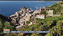 Cinque Terre e la lotta contro il turismo impazzito