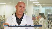 Garlasco, il mistero delle tracce di dna