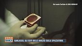 Garlasco, gli esiti delle analisi sulla spazzatura