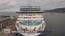 Troppe crociere, Trieste si divide