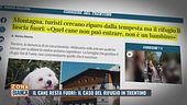 Il cane resta fuori: il caso del rifugio in Trentino