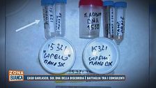 Caso Garlasco, sul DNA della discordia è battaglia tra i consulenti