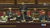 Il governo sulle crisi: "Unità transatlantica"