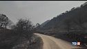2025, Europa devastata dagli incendi