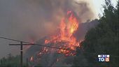 Los Angeles minacciata da un vasto incendio
