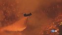 Rabbia e disperazione Los Angeles in cenere