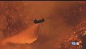 Rabbia e disperazione Los Angeles in cenere