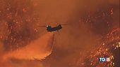 Rabbia e disperazione Los Angeles in cenere