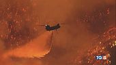 Rabbia e disperazione Los Angeles in cenere