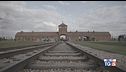 Domani Giorno della memoria