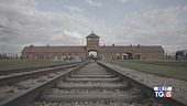 Domani Giorno della memoria