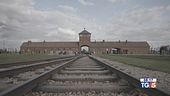Domani Giorno della memoria
