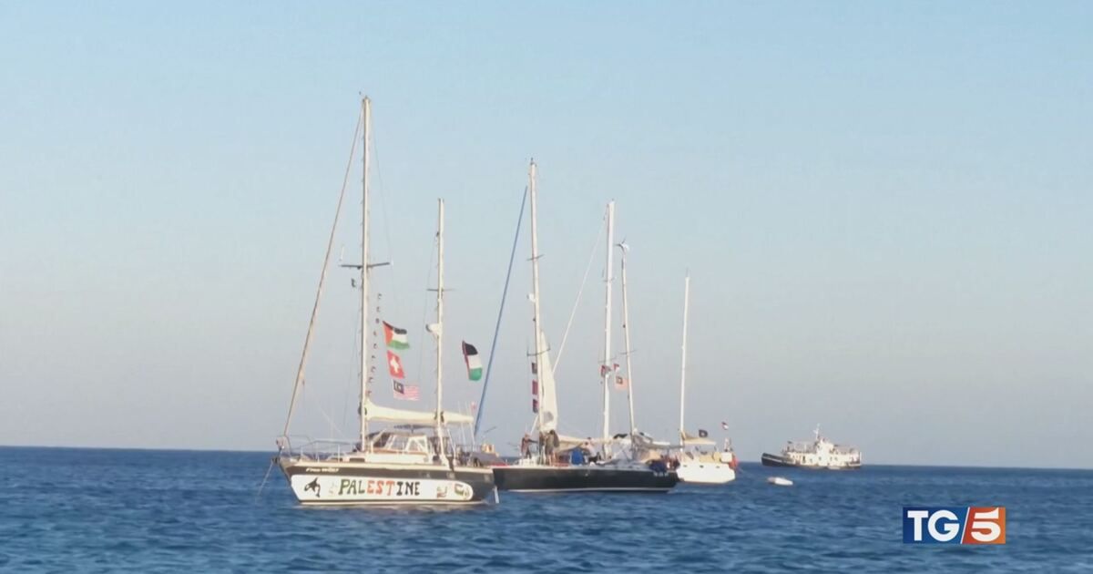 TG5: Flotilla, primi rientri. Altre barche partono Video | Mediaset ...