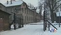 Giorno della memoria Il mondo ad Auschwitz