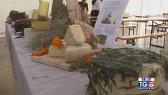 Gusto diVino: abbinamenti vini e formaggi