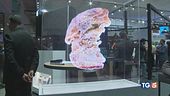 La cucina del futuro è supertecnologica