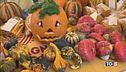 Ecco Halloween la zucca è regina