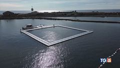 Il rifugio dei delfini