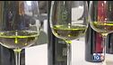 Gusto di Vino: l'olio extravergine di oliva