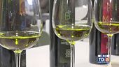 Gusto di Vino: l'olio extravergine di oliva