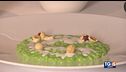 Risotto alle erbette di campo spontanee