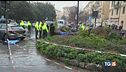 Genova, donna muore schiacciata da palma