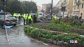 Genova, donna muore schiacciata da palma