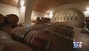 Gusto di Vino: la coltivazione dei vigneti