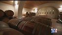Gusto di Vino: la coltivazione dei vigneti