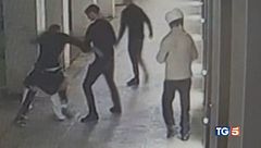 La difesa del branco, si attaccano a vicenda