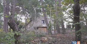 La famiglia nel bosco: altra casa? No grazie