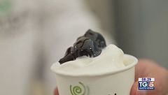 Gusto Verde: il festival del gelato