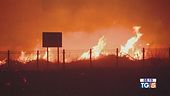 Incendi in Corea sud Almeno 18 i morti