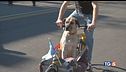 E con le cargo bike un trasporto sostenibile